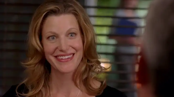 Топ самых раздражающих персонажей сериалов: выбор интернет-пользователей 8 Скайлер Уайт («Во все тяжкие»)