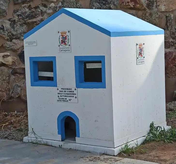 Дома для котов от муниципалитета