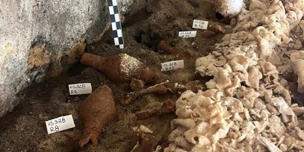 Древняя тайна раскрыта: саркофаг из гробницы Цербера исследован впервые за 2000 лет 2 3 1