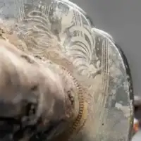 В Берлине обнаружили самурайский меч XVII века, использовавшийся для харакири