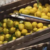 Происхождение мафии: анонс приквела Mafia: The Old Country 4 5 8