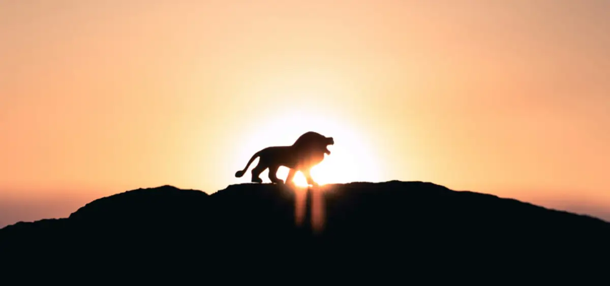 Исчезающие миры природы