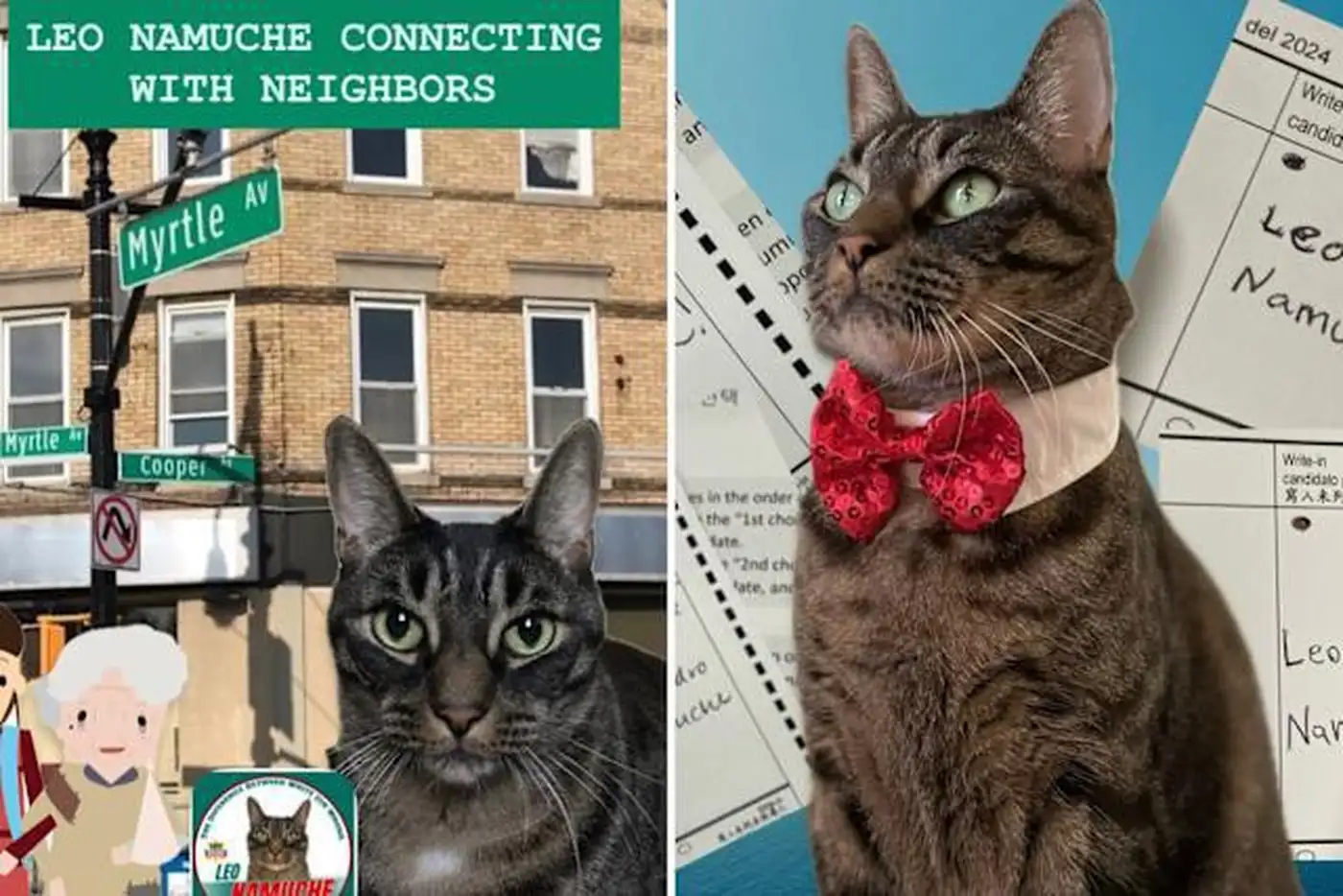 Кот Лео как символ протеста в Нью-Йорке