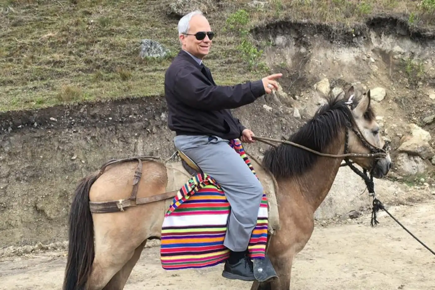 Поляк подарил Папе Римскому арабского скакуна