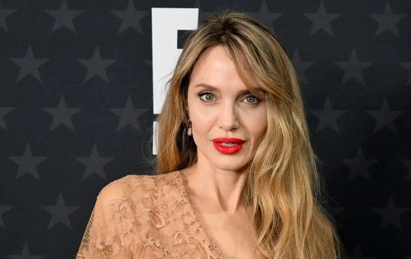 Анджелина Джоли не предупреждала власти о своём приезде в Украину