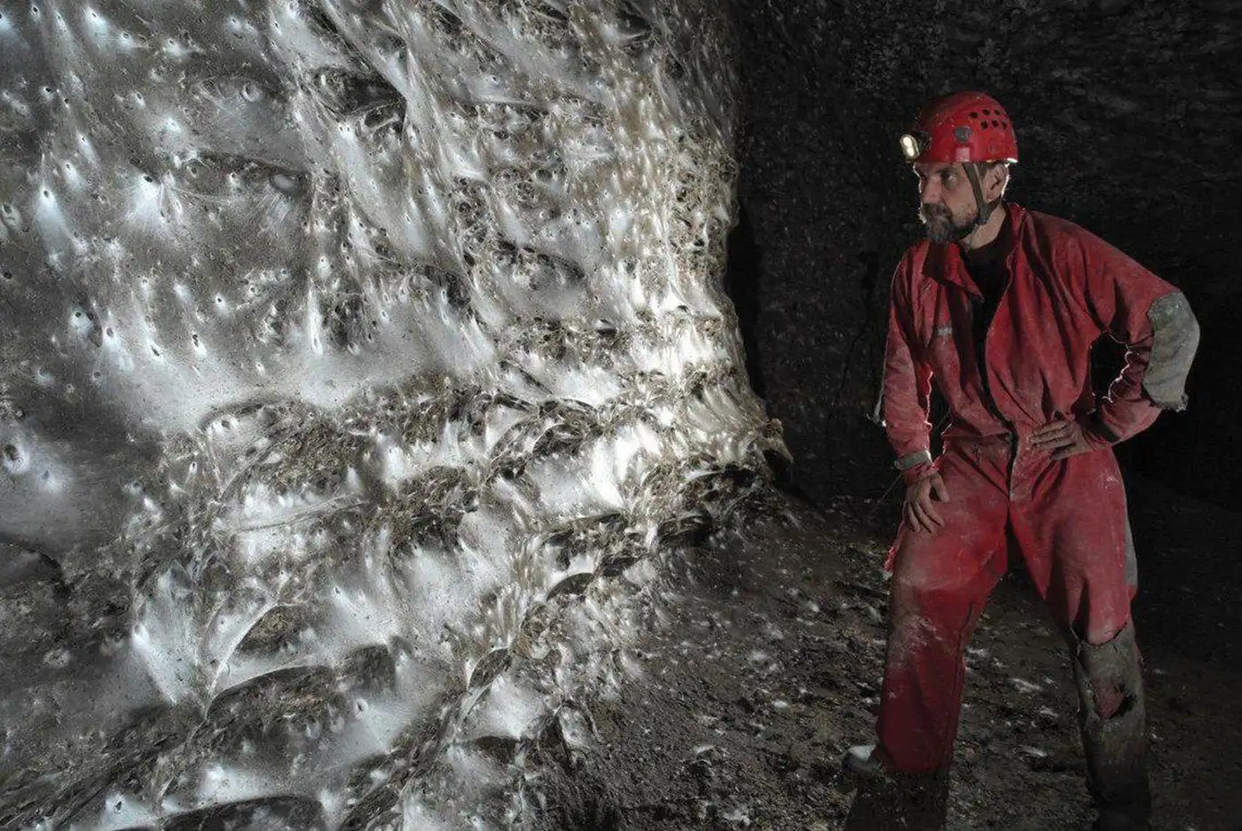 На границе Албании и Греции нашли крупнейшую паутину в мире 1 1 29