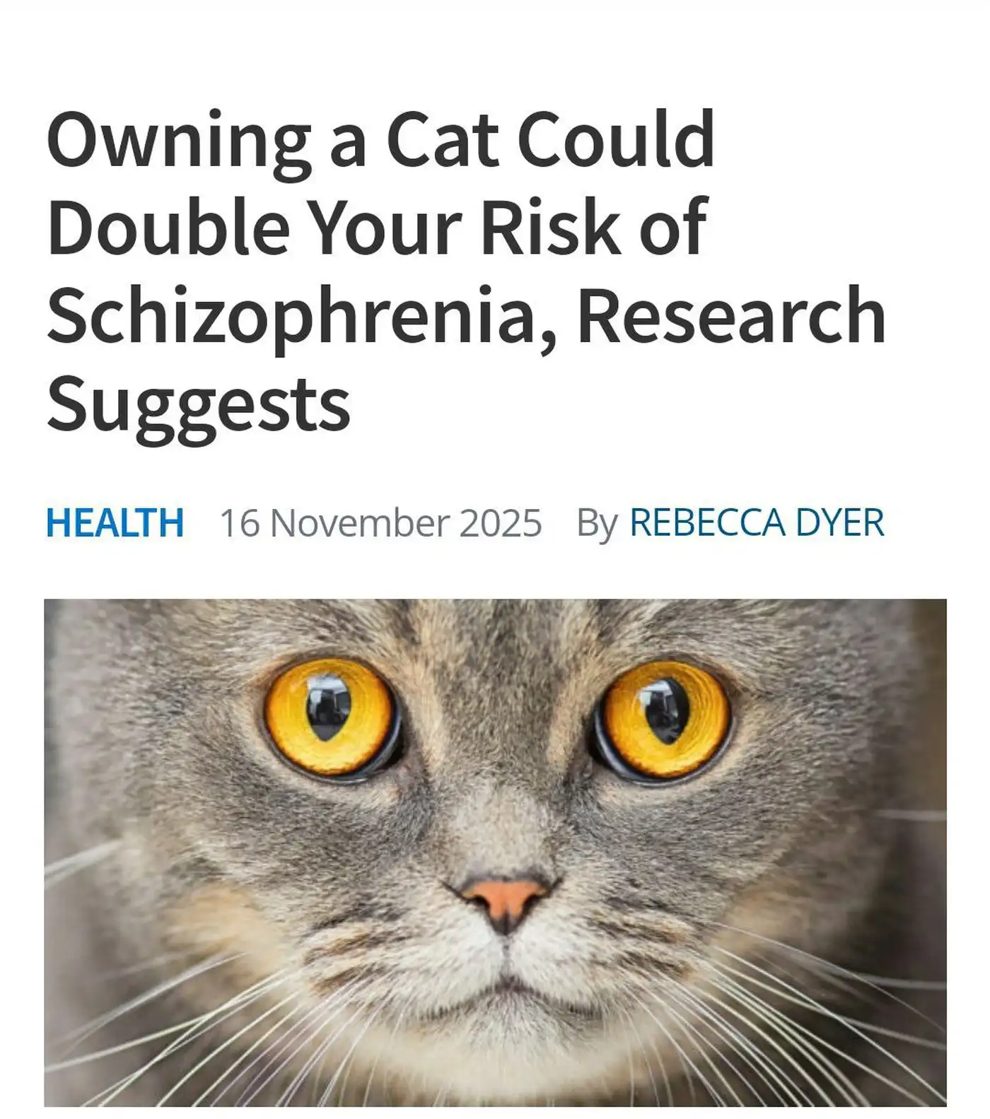 У кошатников риск развития шизофрении вдвое выше, — исследование