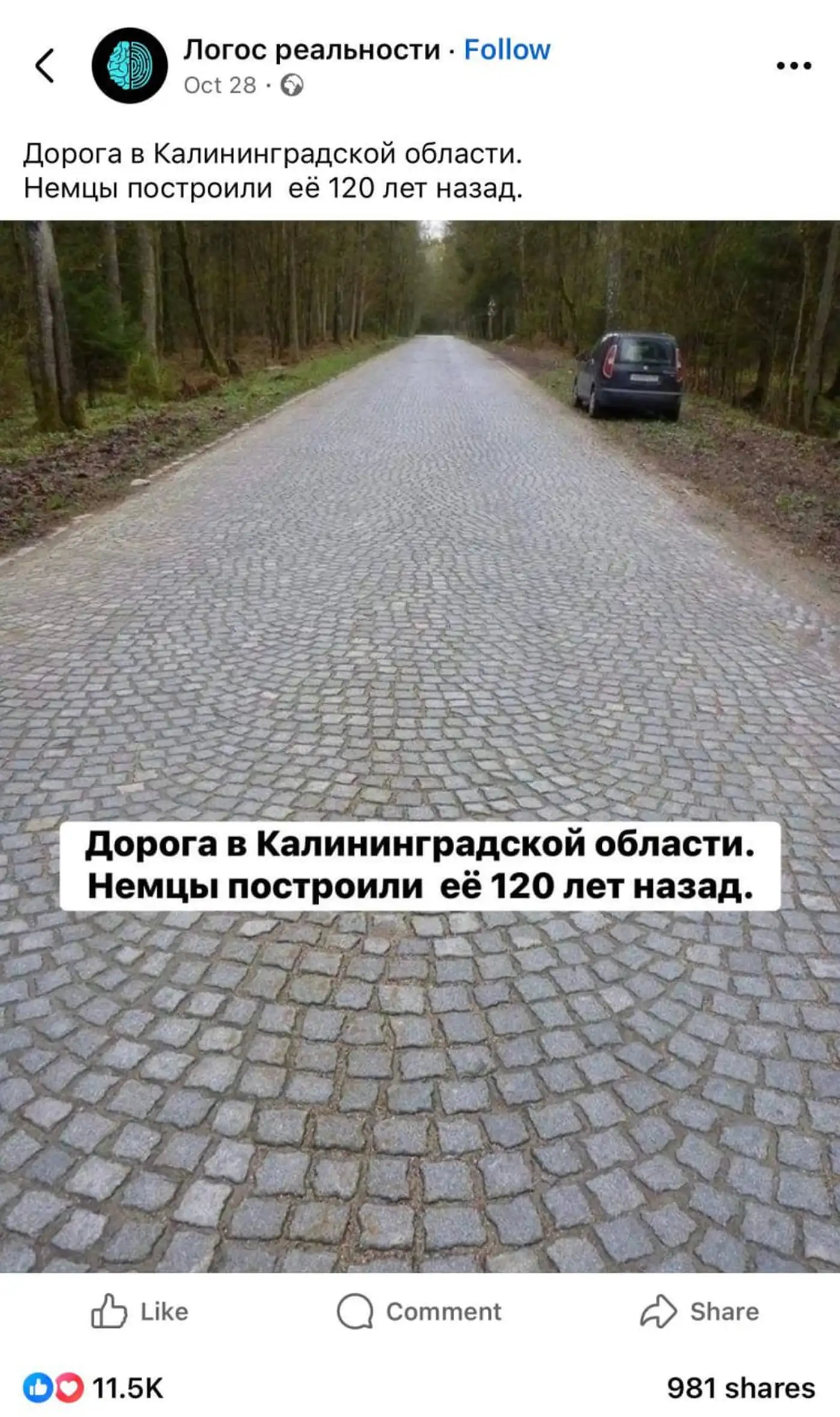 Эту дорогу в Калининградской области построили ещё немцы до Второй мировой войны — ей 120 лет